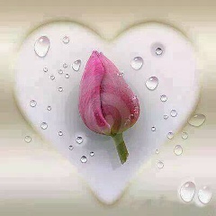 Si Thu Hein, 25.07.1986, Yangon