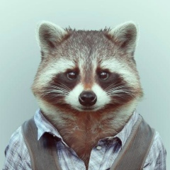 Вячеслав Николаевич, 12.11.1985, Санкт-Петербург