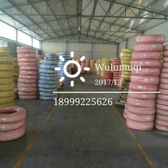 Zheng Tingting, 08.06.1986