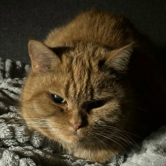 Игорь Милорадов, Москва