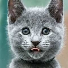 Alexander Papov, 26.02, Санкт-Петербург