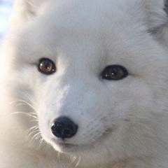 Наталия Васильева, 02.02, Санкт-Петербург