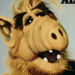 Роман Реутов, Ставрополь