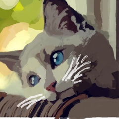 Алексей Шестерина, 01.03.1976, Toronto