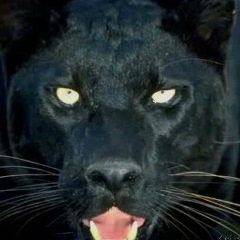 Уланбек Абдураимов