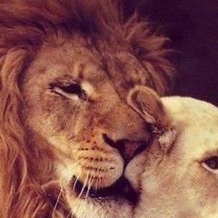 Стас Ким, 07.07