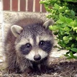 Виталий Кулаков, 05.03.1984, Санкт-Петербург