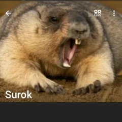 Павел Сурначев, 17.04, Санкт-Петербург