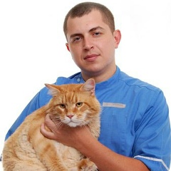 Сергей Куринной, 02.07.1982, Киев