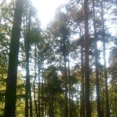 Ирина В Контакт-Е, 21.03, Челябинск