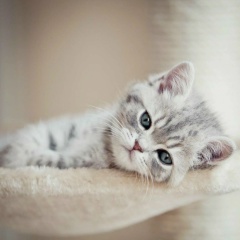 Юля Андреева, 14.05, Москва