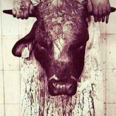 Жарас Есенгулов, 14.07, Уральск