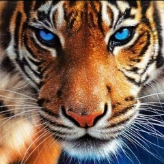 Татьяна Штахура, 11.07.1990, Киев