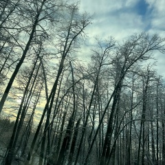 Мария Каурова, 24.08.1983, Москва