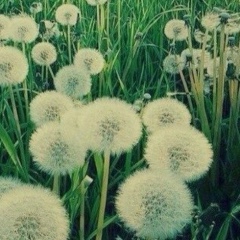 Benni Black, 17.06.1981, Грозный