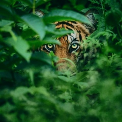 Асель Анаева, 03.02, Philadelphia