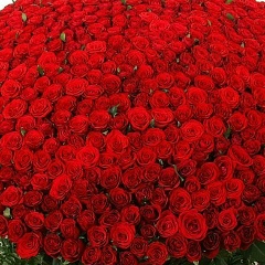 Жулдыз Хасенова, 15.08.1988, Алматы