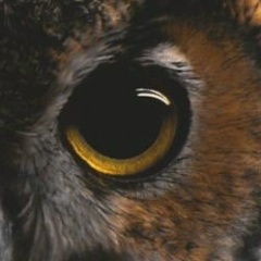 Евгения Ацаламова, 08.04, Санкт-Петербург