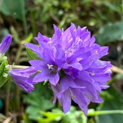 Юлия Валишина, 07.05.1975, Уфа