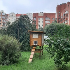 Филимон Зоомагазин, 01.08, Санкт-Петербург