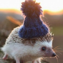 Анастасия Шабалина, 26.03, Санкт-Петербург