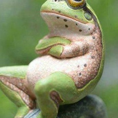 Гафур Темиров, 16.05, Appleton