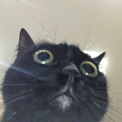 Дмитрий Невзоров, 13.12.1985, Архангельск