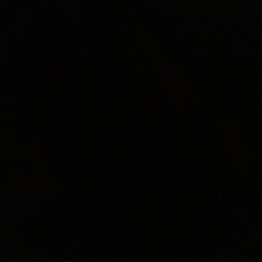 Станислав Витковский, Санкт-Петербург