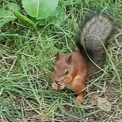 Костя Ермаков, 03.07.2009