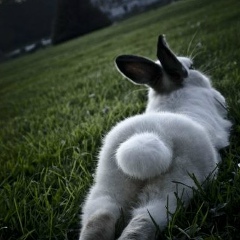 Татьяна Гуляева, 29.06