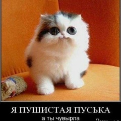 Вероника Денисенко, 26.12.2000, Усть-Каменогорск