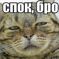 Алексей Тихонов, 08.02.1984, Нижневартовск