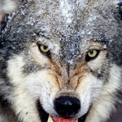 Антон Анатольевич, 28.07, Нижнекамск