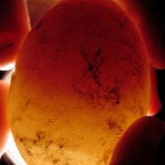 Филипп Кудытин, 09.06.1990, Минск