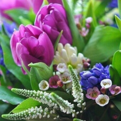 Натали Мищенко, 24.02, Киев