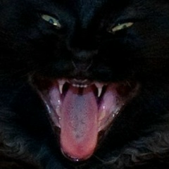 Дмитрий Мироненко