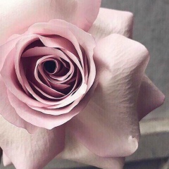 Наташа Слобожанинова, 13.01, Киров