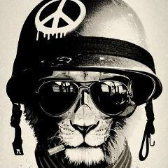 Илья Юрков, 09.08