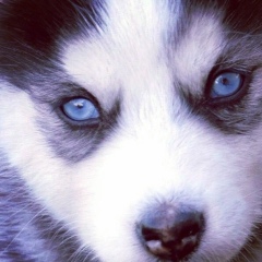 Misha Pak, 02.04, Южно-Сахалинск