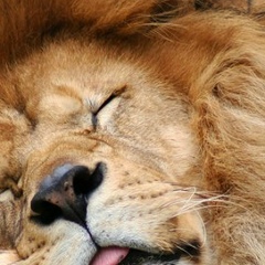 Виталий Сога, 02.08.1989, Москва