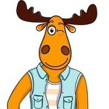 Тёмка Шах, 26.01, Киев