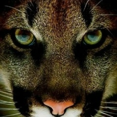 Елена Червонец(бадюкова), 19.05.1975, Верхнедвинск