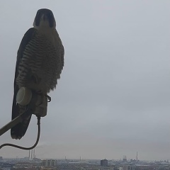 Ерлан Багитович, 27.05.1989, Атырау