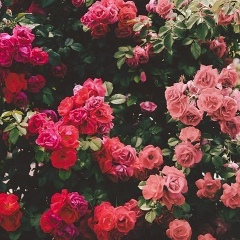 Ақылдым Жумиева, 24.07.1994, Уральск