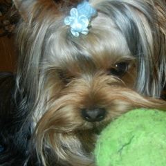 Оля Макарова, 11.08.1977, Киров