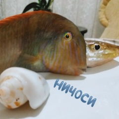 Артем Ляхов, 24.09.1984, Харьков