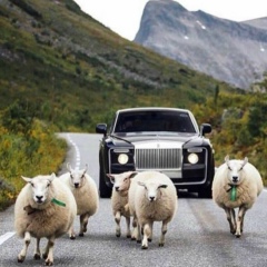 Чингиз Миржакипов, 01.03, Астана