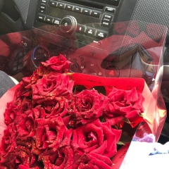 Жулдыз Асилова, 13.05.1993, Шымкент