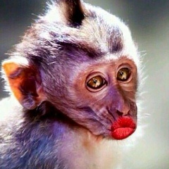 Полина Есикова, 25.10.1989