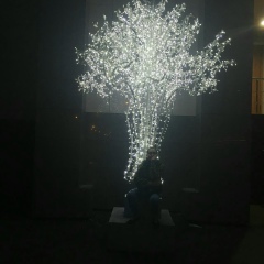 Тома Кошеева, 20.08.2001, Нальчик